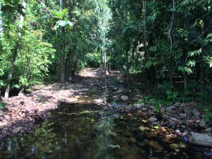 Rainforests of Langkawi