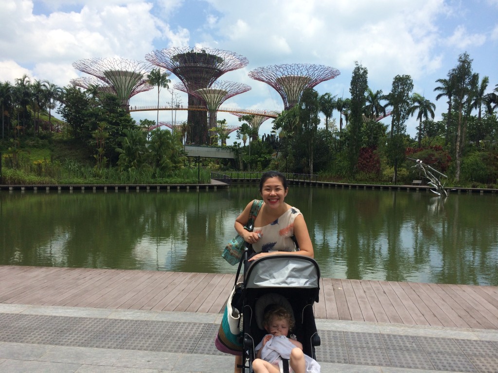 Gardens in the Bay, Singapore