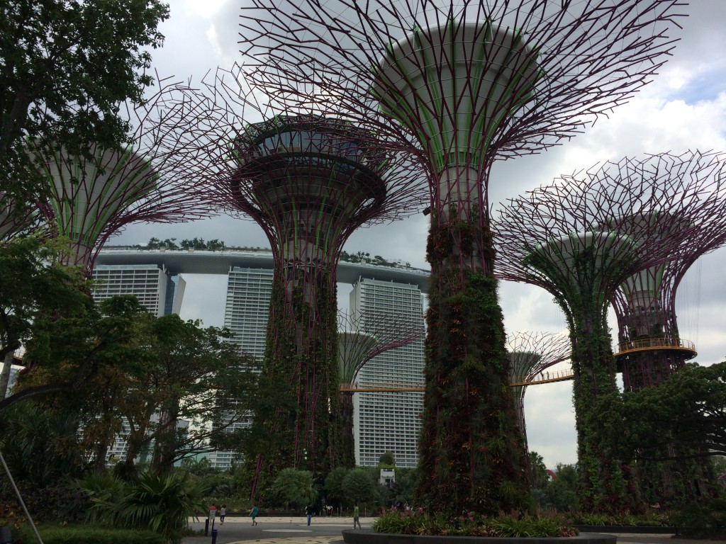 Super Trees in Singapore