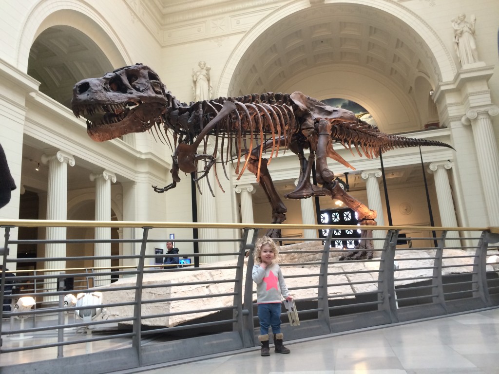 T-Rex 'Sue' Field Museum Chicago 