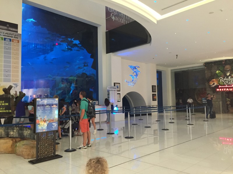 Aquarium, Dubai Mall