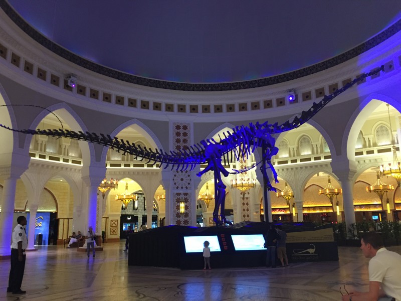 The real bones of a dinosaur at Dubai Mall