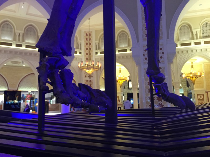 Dinosaur feet at Dubai Mall