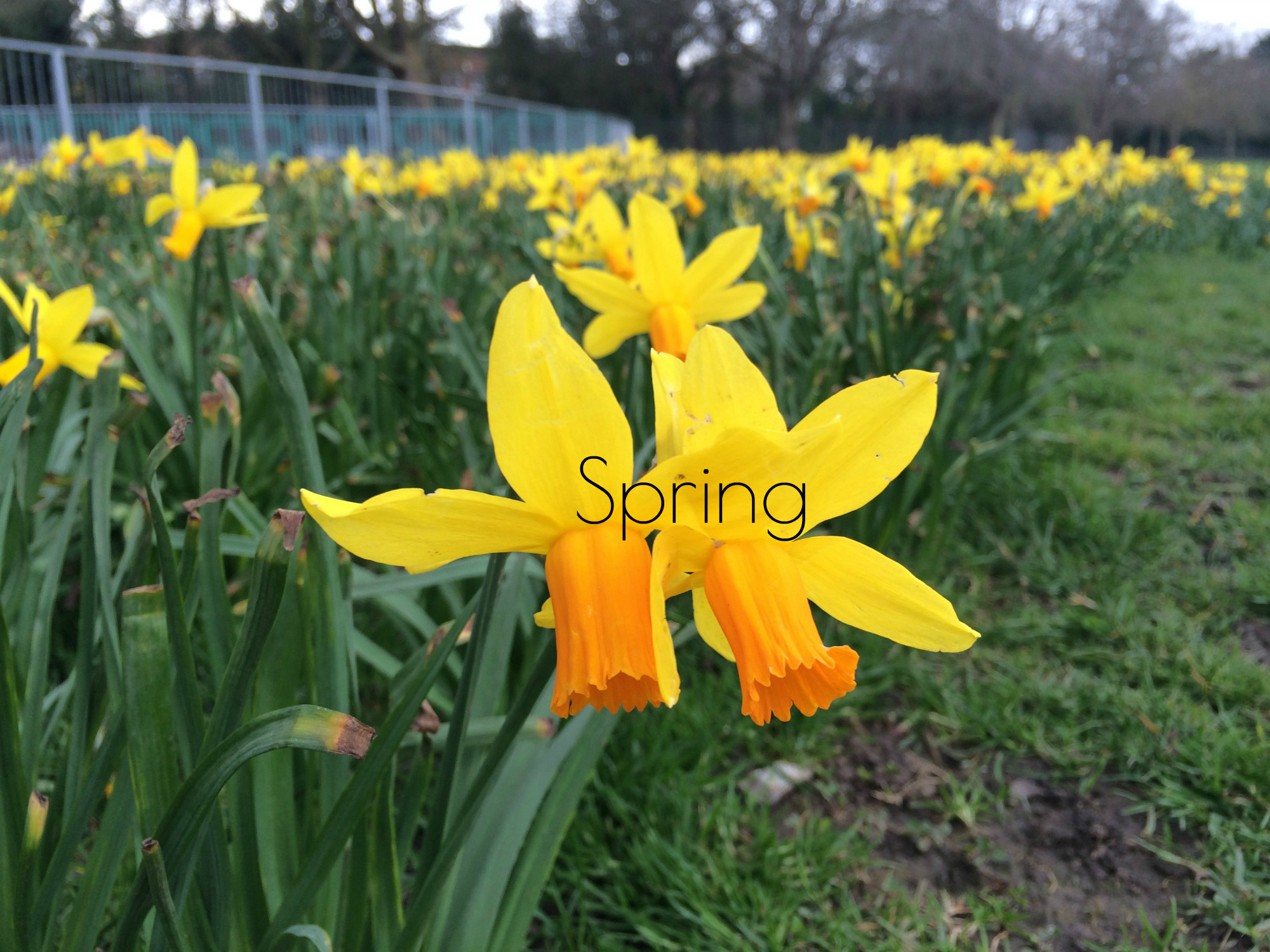 Spring: A Retrospective