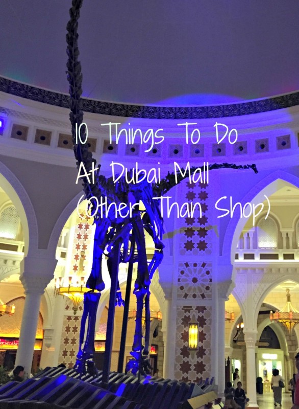 The real bones of a Diplodocus - just one of 10 things to see and do at Dubai Mall