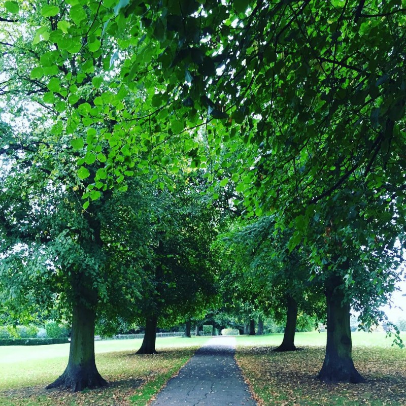 Marble Hill Park, Twickenham