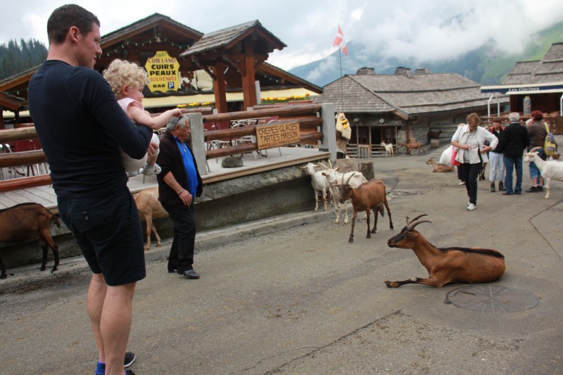 The goat village in Lindarets