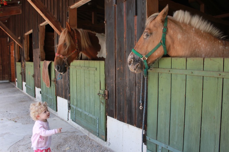Horse riding school in Morzine