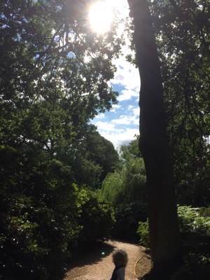 Isabella Plantation, Richmond Park, London