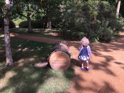 Isabella Plantation, Richmond Park, London