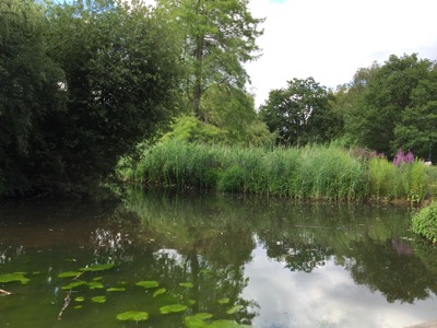 Pegs Pond at Isabella Plantation