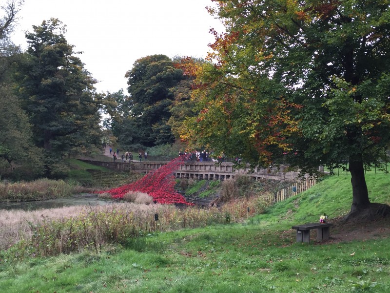 Poppy Wave: Yorkshire Sculpture Park