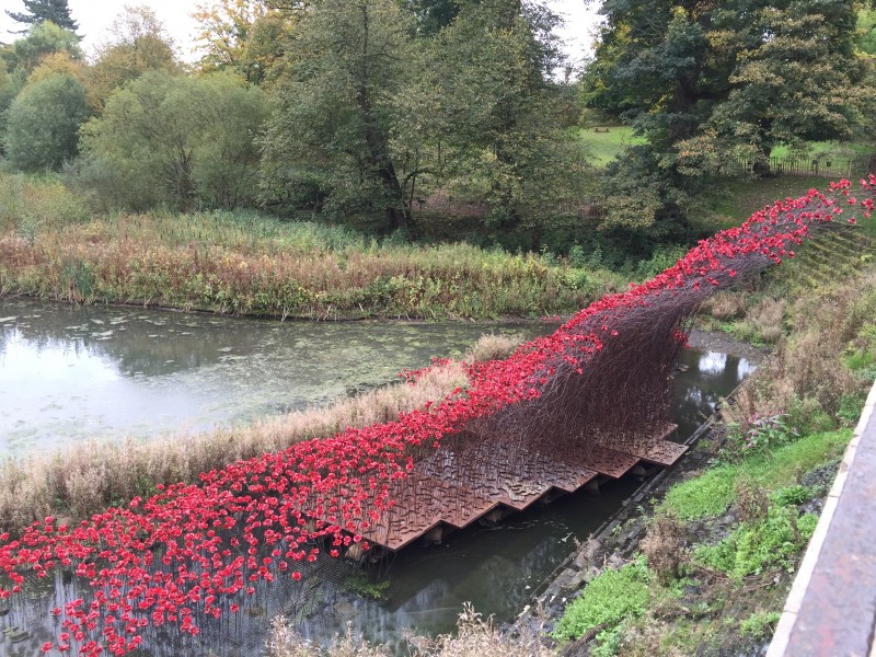 Poppy Wave at Yorkshire Sculpture Park