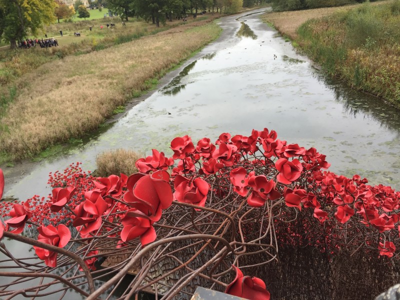 Poppy: Wave, Yorkshire Sculpture Park