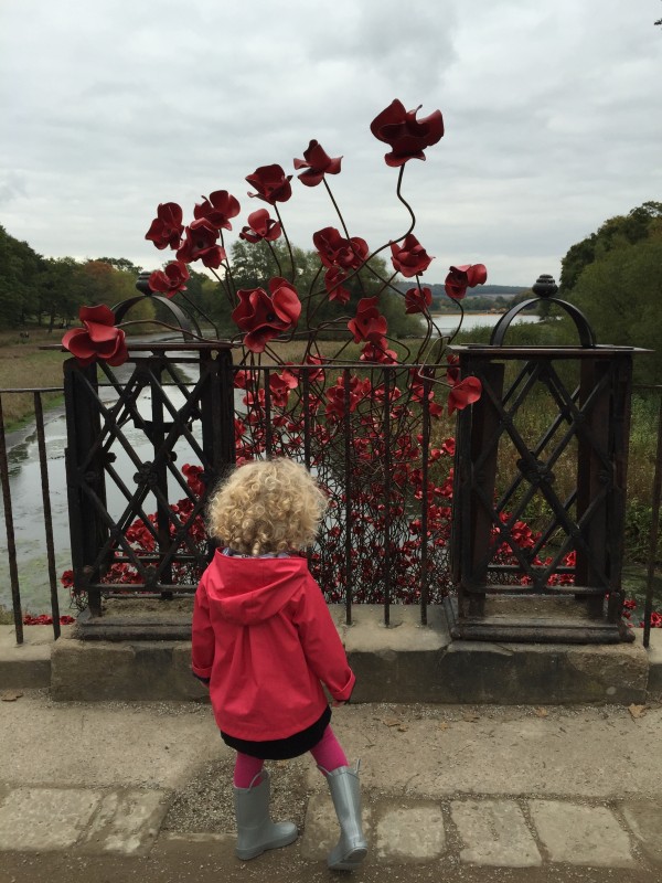 Poppy Wave, Yorkshire Sculpture Park