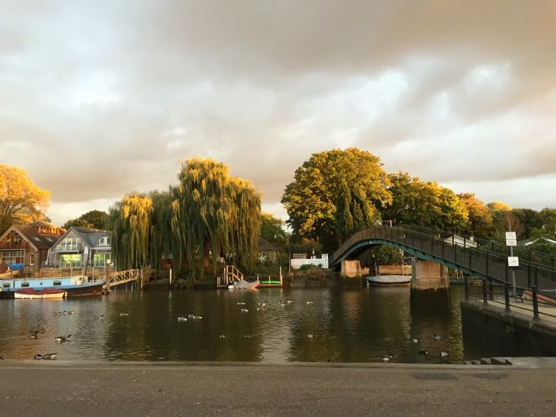 Eel Pie Island, Twickenham