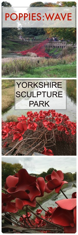 Poppies: Wave installation comes to the Yorkshire Sculpture Park near Wakefield