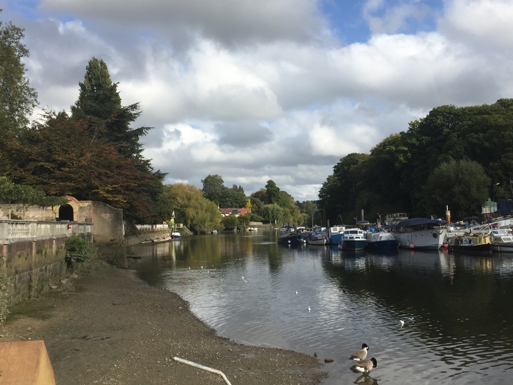 The River Thames, Twickenham