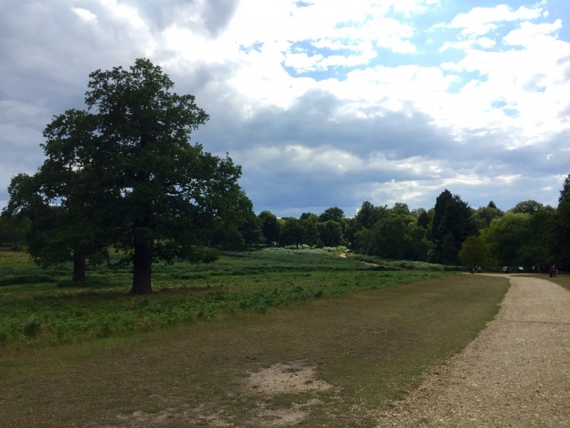 Richmond Park, London