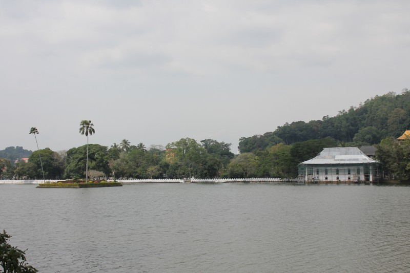 The lake in Kandy, Sri Lanka