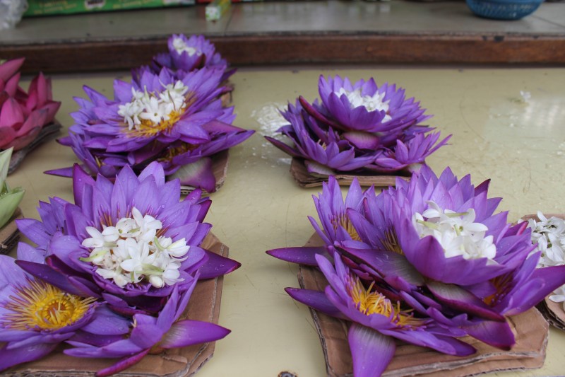 Flowers in Kandy
