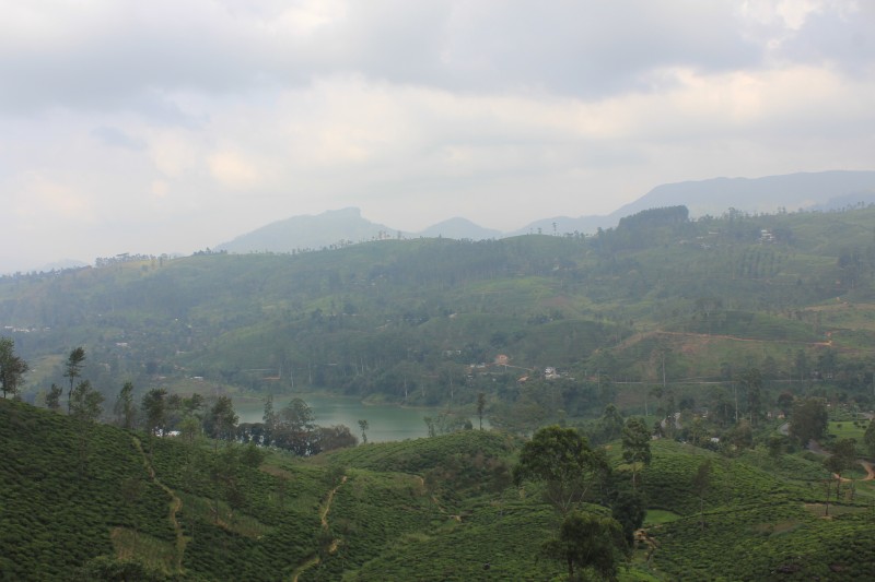 Hill country near Hatton, Sri Lanka