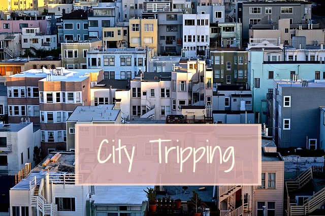 City Tripping 14