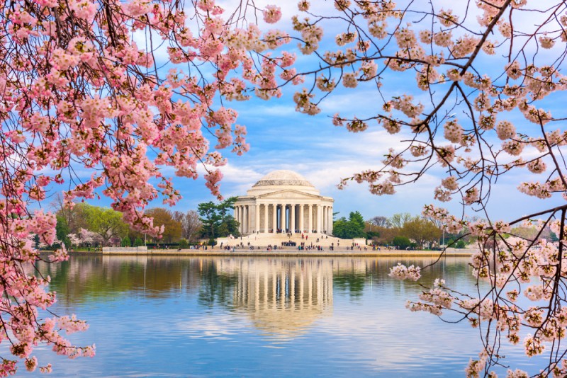 Washington, DC at the Tidal Basin and Jefferson Memorial during spring.