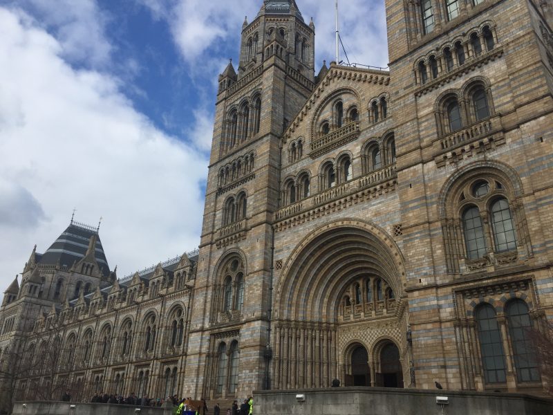 Natural History Museum, London