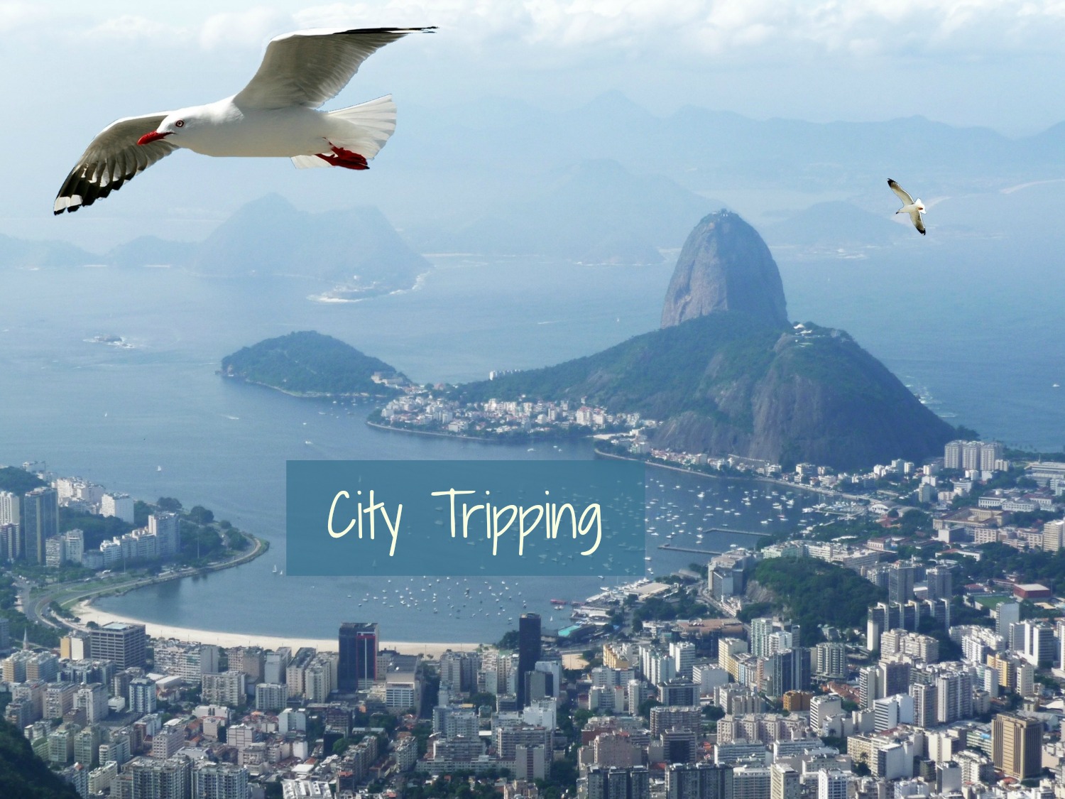 City Tripping 23 - Rio