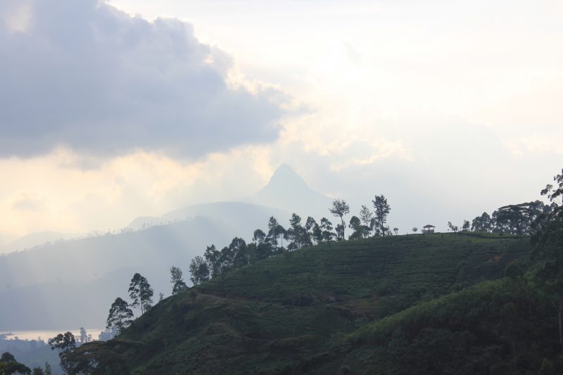 Sri Lanka