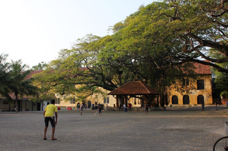 Young men play cricket in Galle