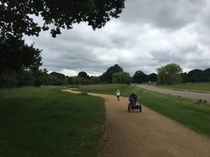 Richmond Park, London