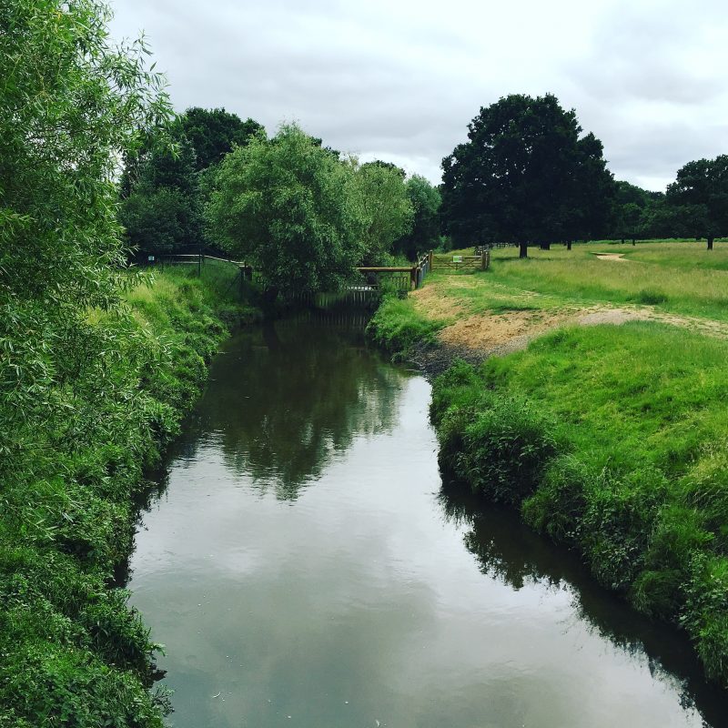 Richmond Park, London