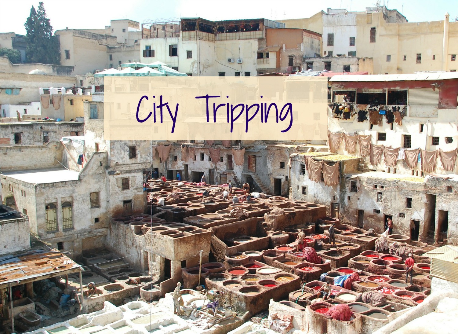 Morocco Fes - City Tripping