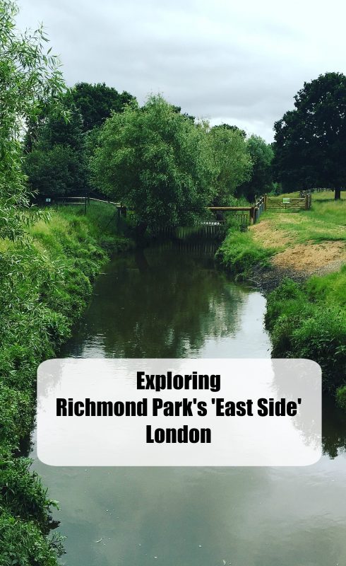 An afternoon exploring Richmond Park, London on the Roehampton side with children and its facilities 