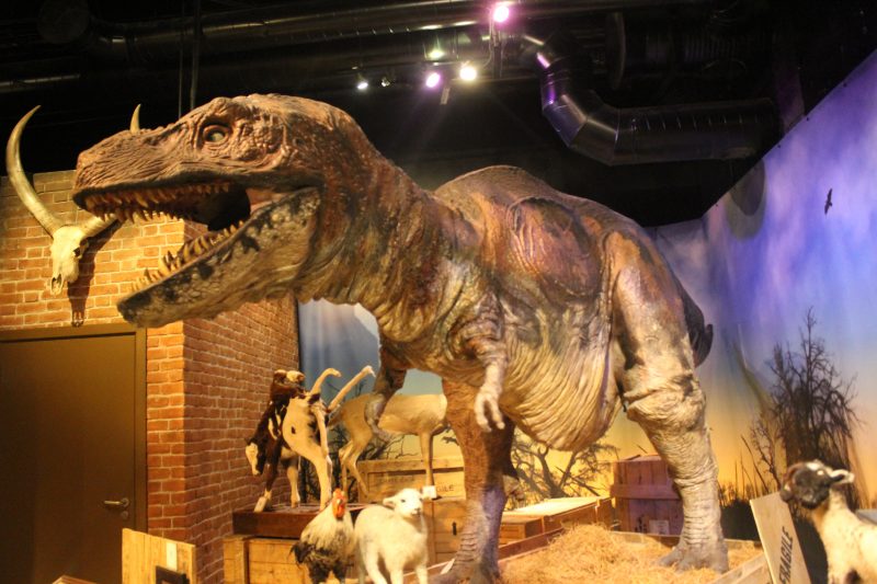 T-Rex at Ripley's Believe It Or Not