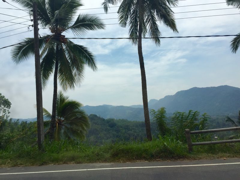 On the road in Sri Lanka