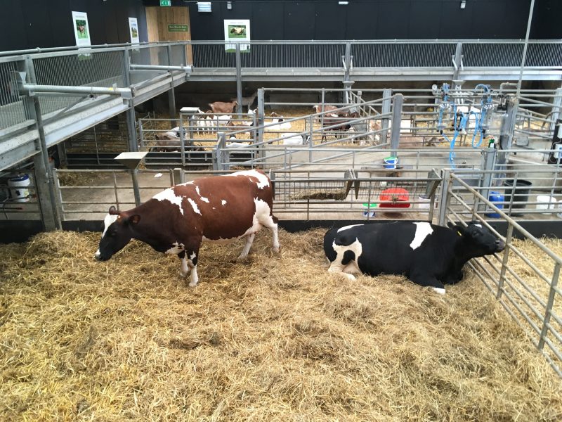 Cannon Hall Farm, Barnsley