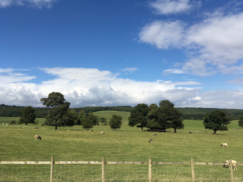 Cannon Hall Farm, Barnsley