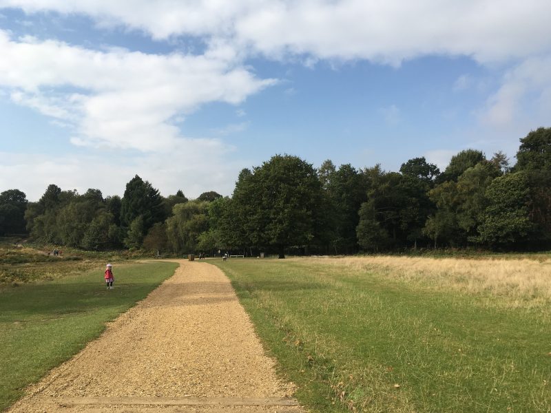 Richmond Park, London