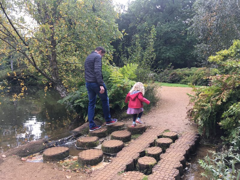 Stepping stones at Isabella Plantation in autumn, Richmond Park, London