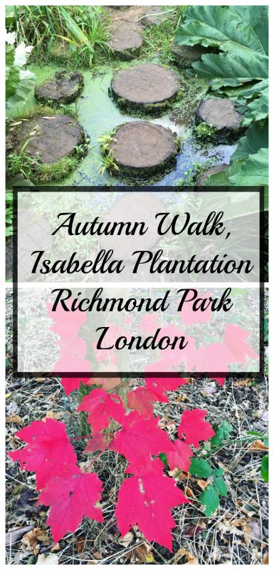 Autumn at the Richmond Park's Isabella Plantation, London