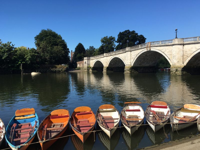 Rowing boats by Richmond Bridge