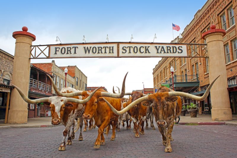 Fort Worth Stockyard: Courtesy Visit Fort Worth