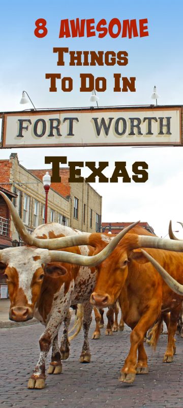 8 Awesome things to do in Fort Worth, Texas