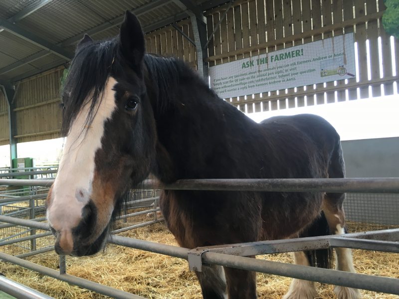 Willows Farm, St Albans