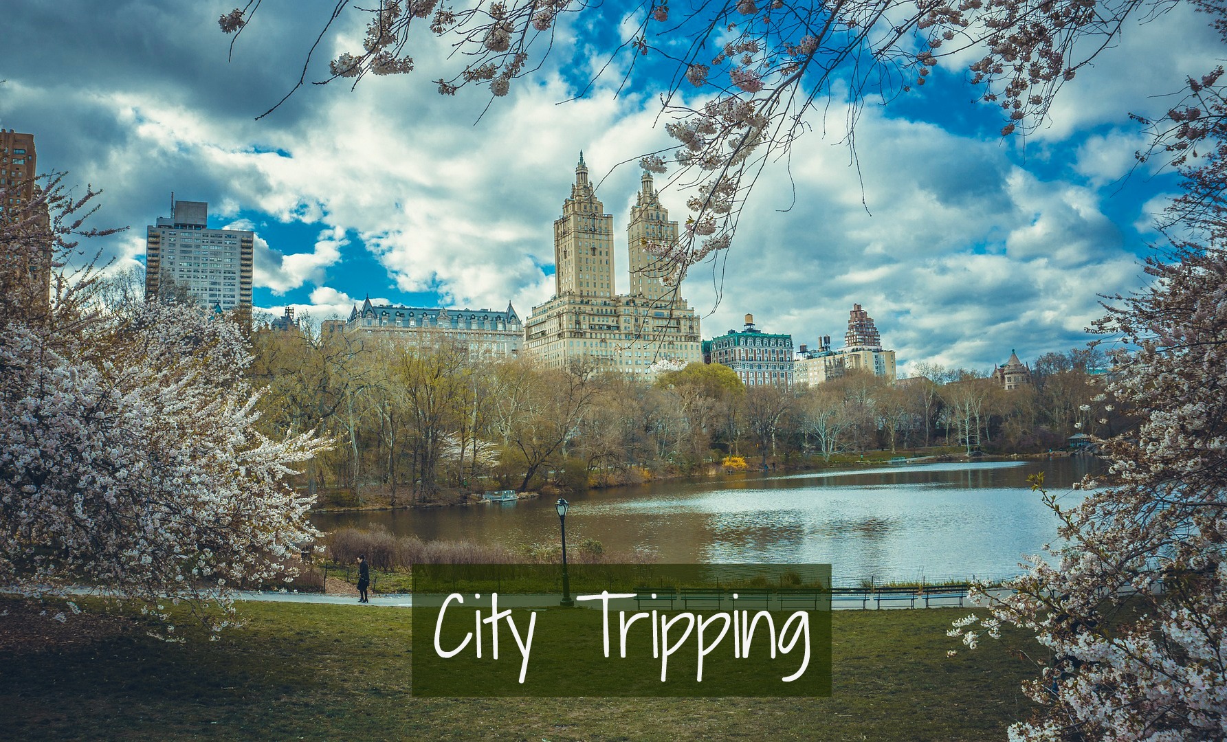 new-york-city-tripping66-pixabay