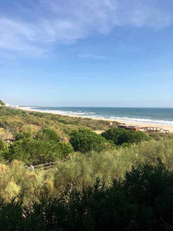 View of Playa Verde from Restaurante Panoramico
