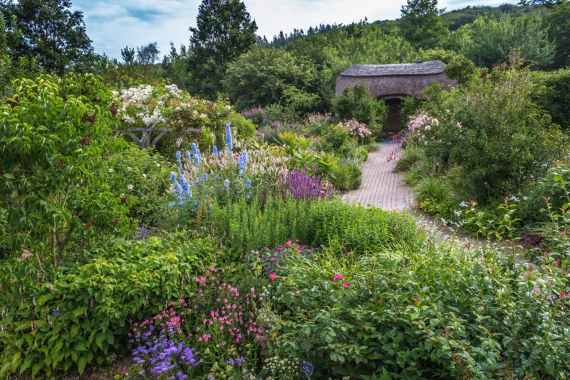 Cottage Garden, RHS